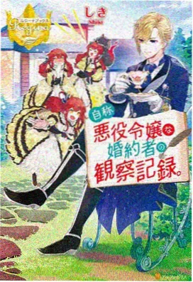 风车动漫网番剧十七岁的风海报